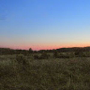 Meet your Posher, Bri